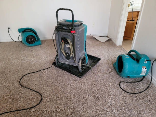 Best Flood restoration services  in Burwell, NE