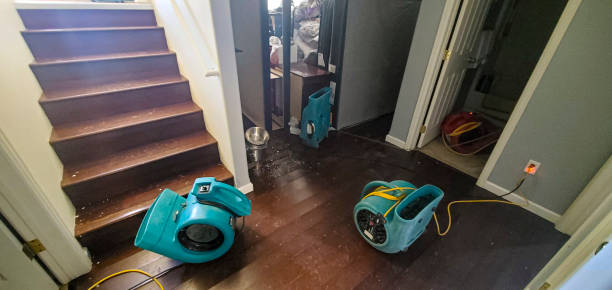 Best Water damage restoration near me  in Burwell, NE