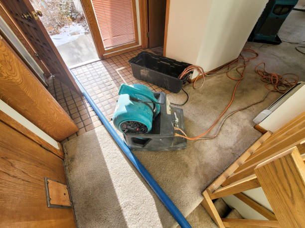 Best Flooded house restoration  in Burwell, NE