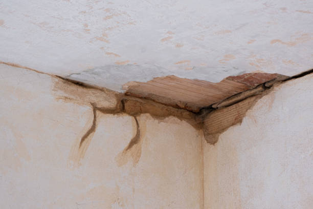 Best Local water damage restoration  in Burwell, NE
