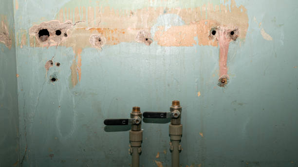 Best Water damage restoration company  in Burwell, NE